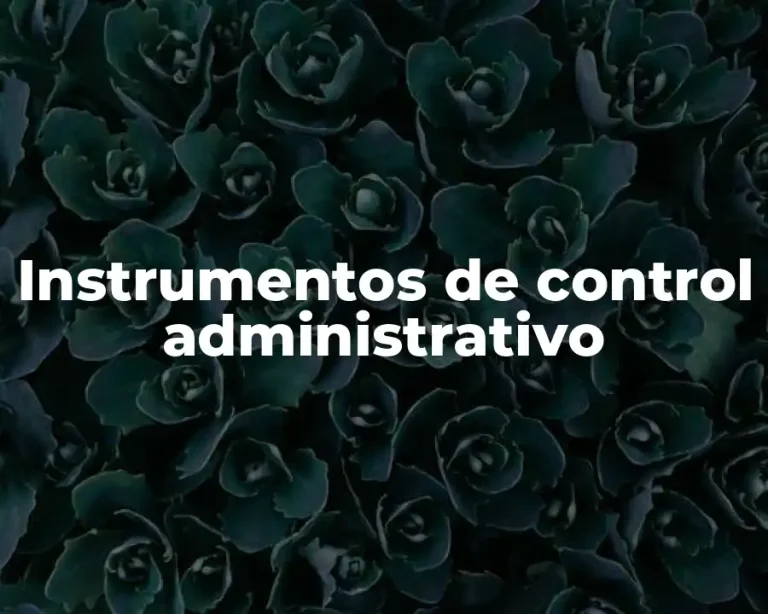 Instrumentos de control administrativo