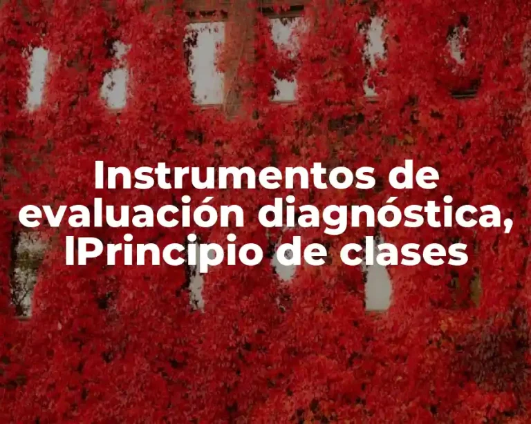 Instrumentos de evaluación diagnóstica, lPrincipio de clases