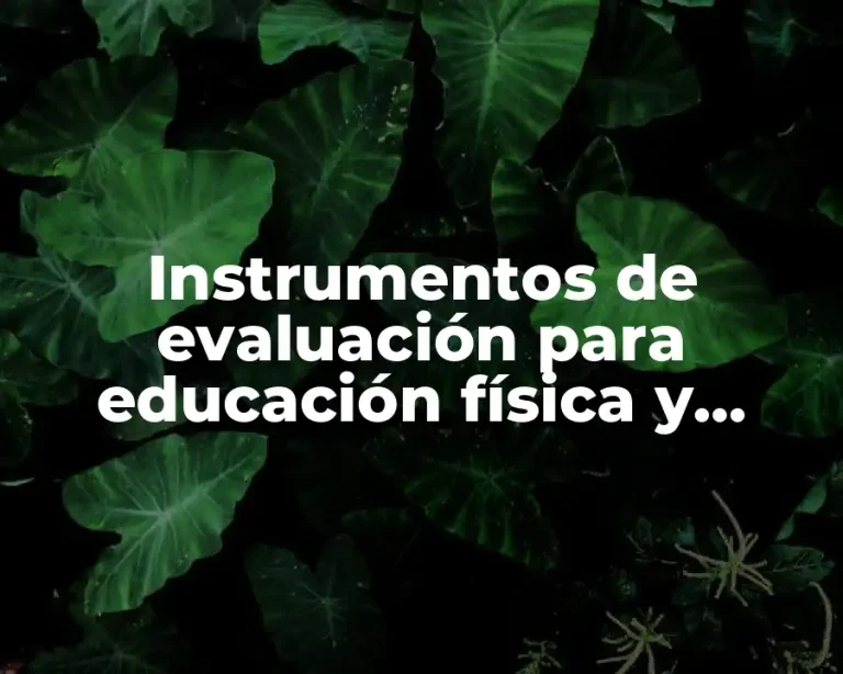 Instrumentos de evaluación para educación física y deportes