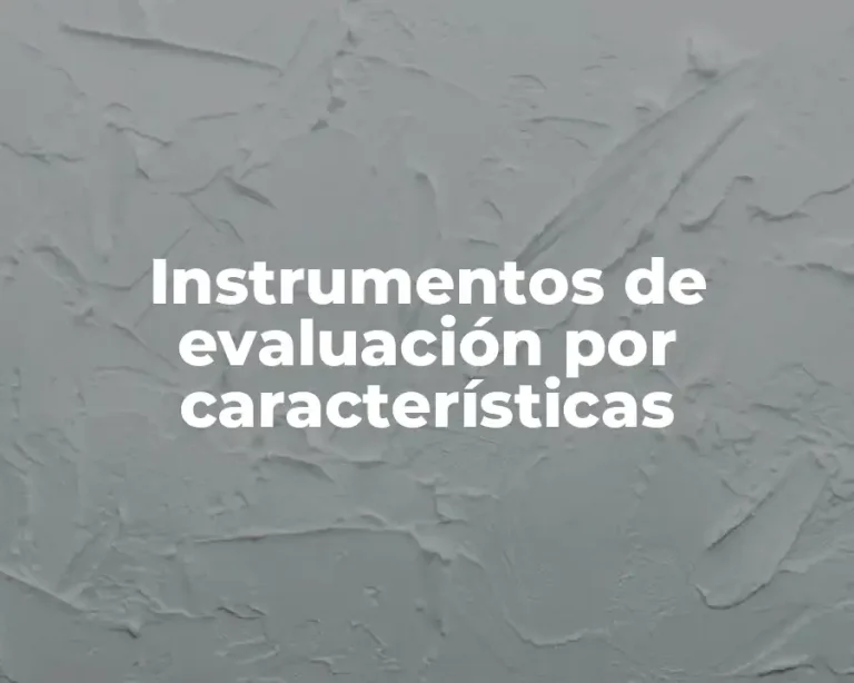 Instrumentos de evaluación por características