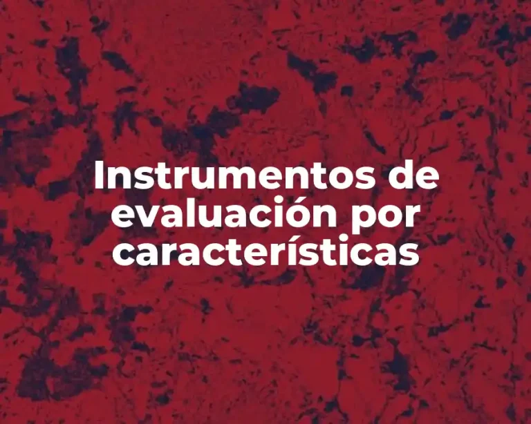 Instrumentos de evaluación por características