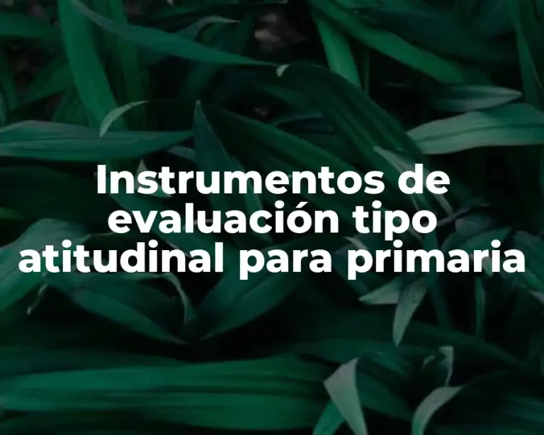 Instrumentos de evaluación tipo atitudinal para primaria