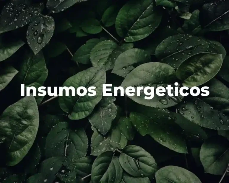 Insumos Energeticos