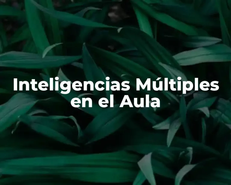 Inteligencias Múltiples en el Aula