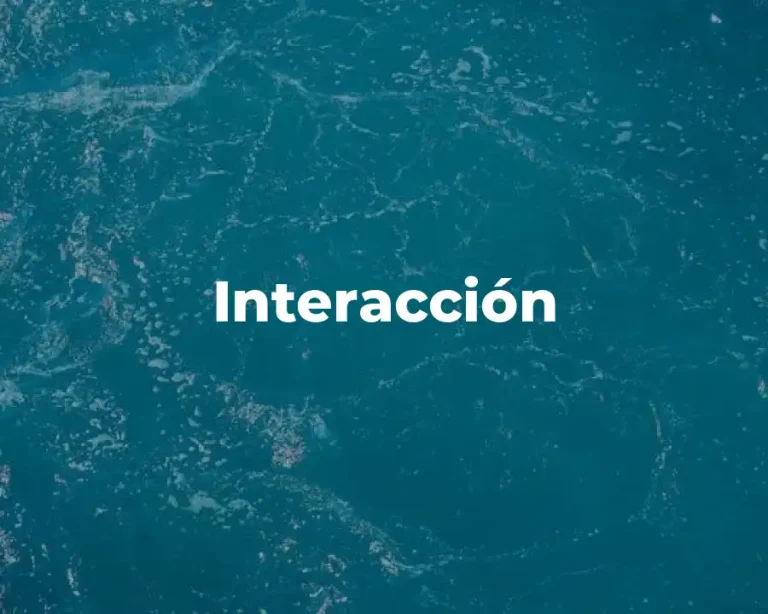 Interacción