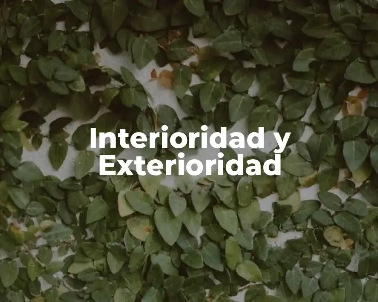 Interioridad y Exterioridad