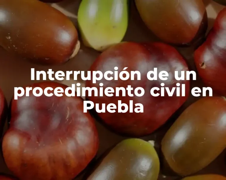Interrupción de un procedimiento civil en Puebla