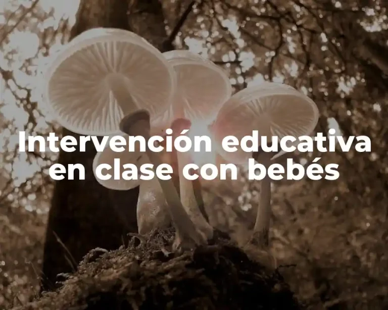 Intervención educativa en clase con bebés