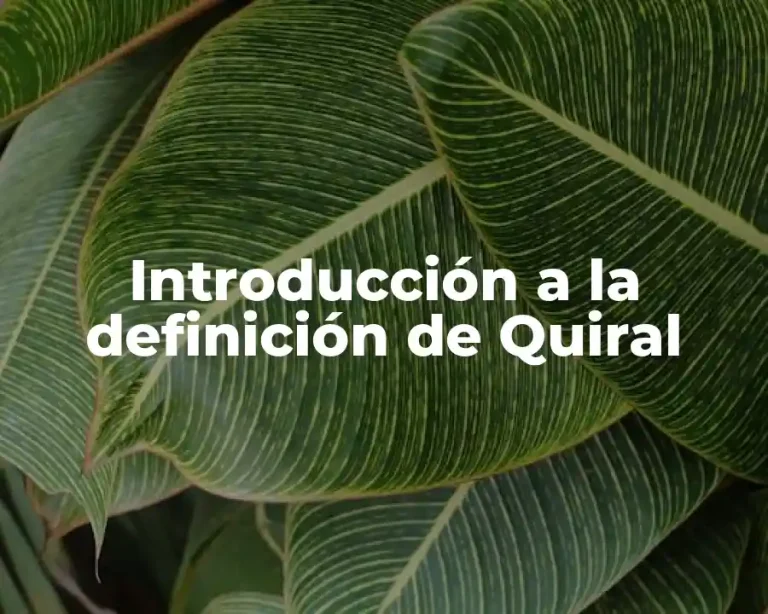 Introducción a la definición de Quiral