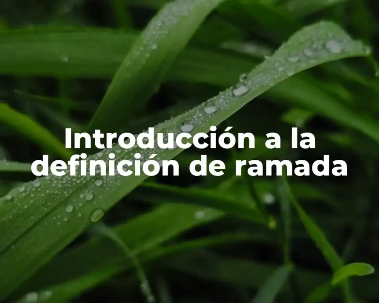 Introducción a la definición de ramada
