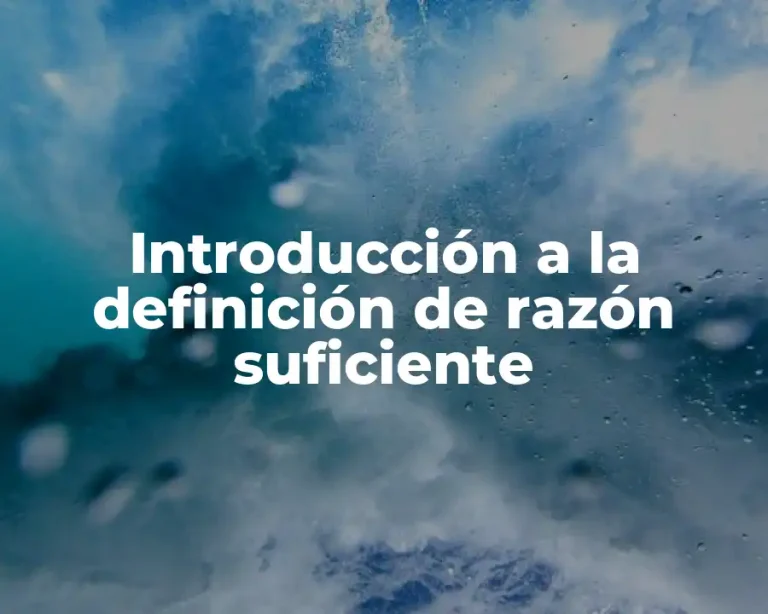 Introducción a la definición de razón suficiente