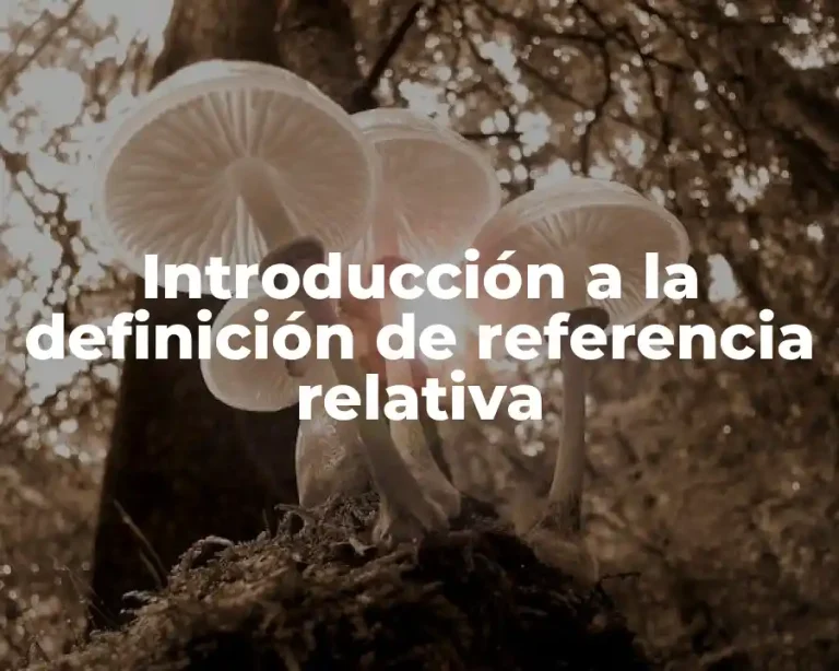 Introducción a la definición de referencia relativa