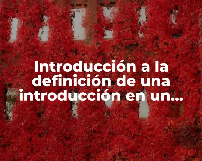 Introducción a la definición de una introducción en un trabajo de investigación