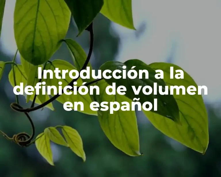 Introducción a la definición de volumen en español