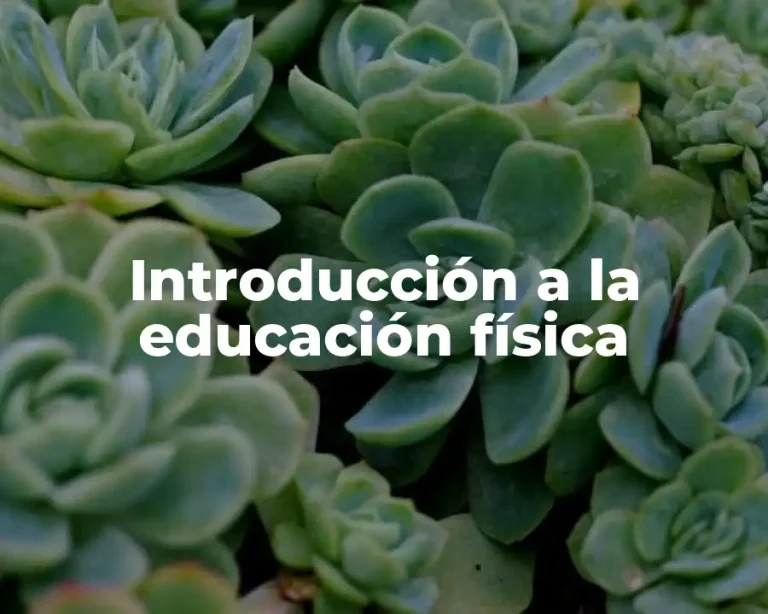 Introducción a la educación física