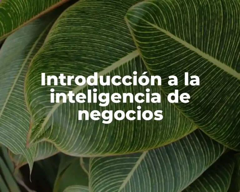 Introducción a la inteligencia de negocios