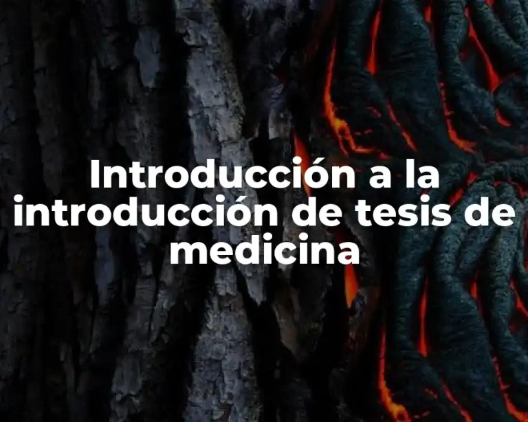 Introducción a la introducción de tesis de medicina
