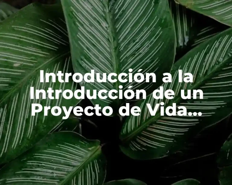 Introducción a la Introducción de un Proyecto de Vida Personal