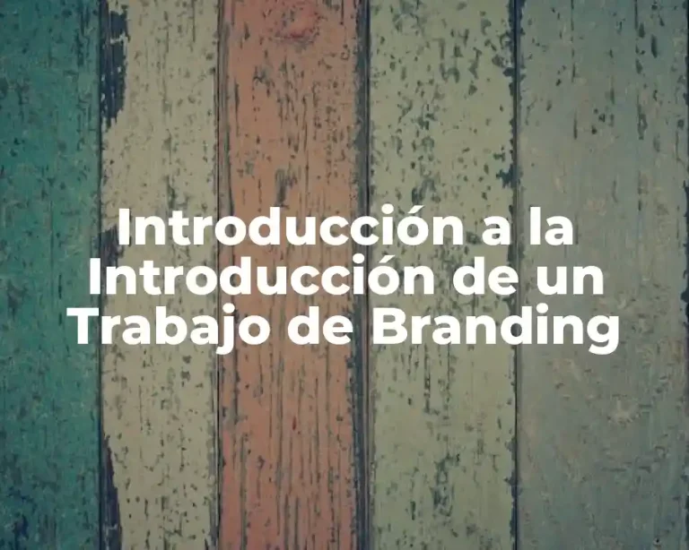 Introducción a la Introducción de un Trabajo de Branding