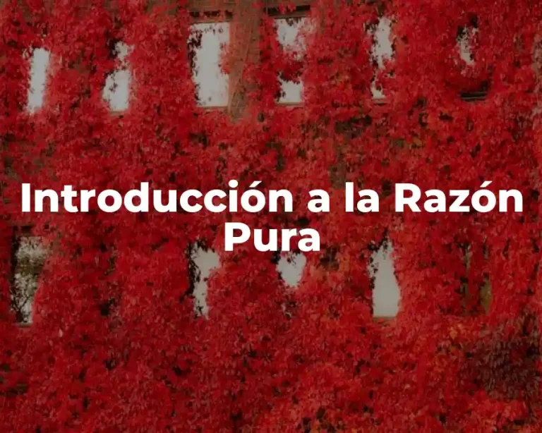 Introducción a la Razón Pura