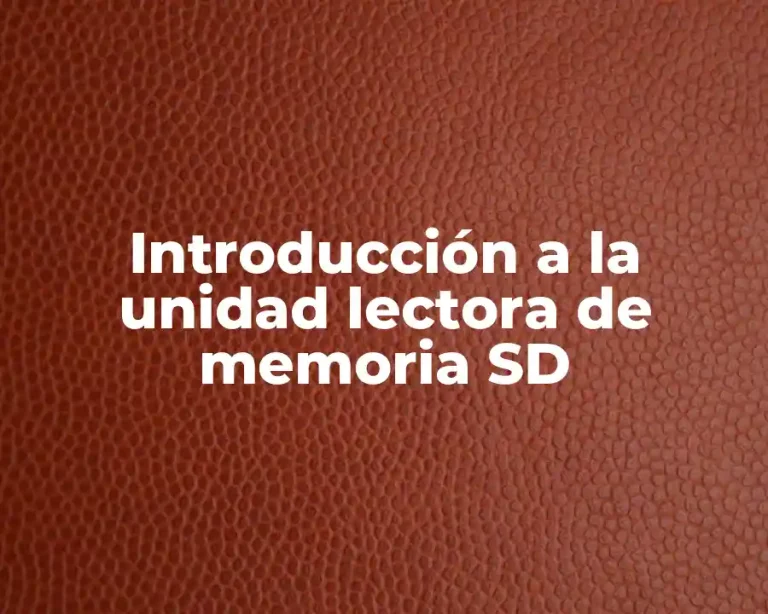 Introducción a la unidad lectora de memoria SD