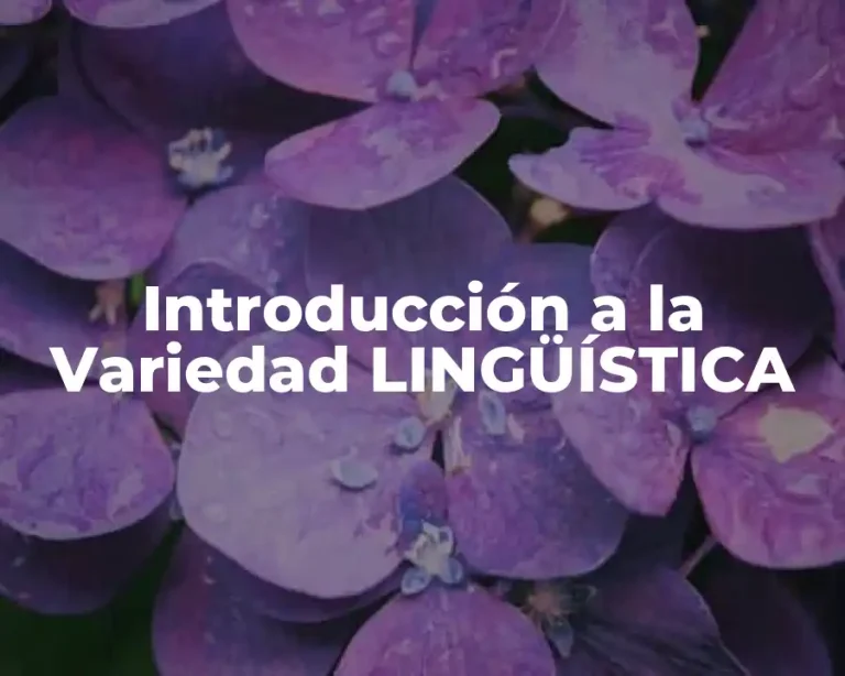 Introducción a la Variedad LINGÜÍSTICA