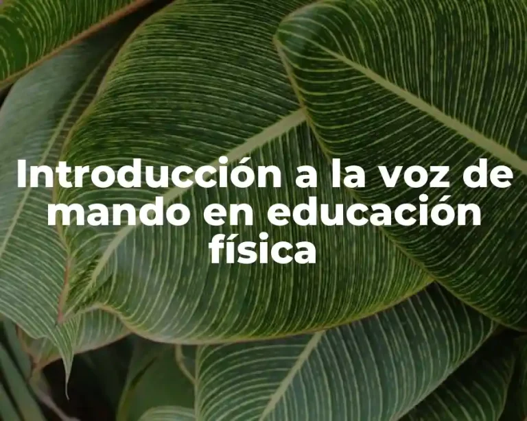 Introducción a la voz de mando en educación física