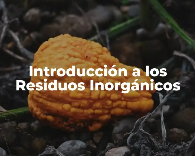 Introducción a los Residuos Inorgánicos