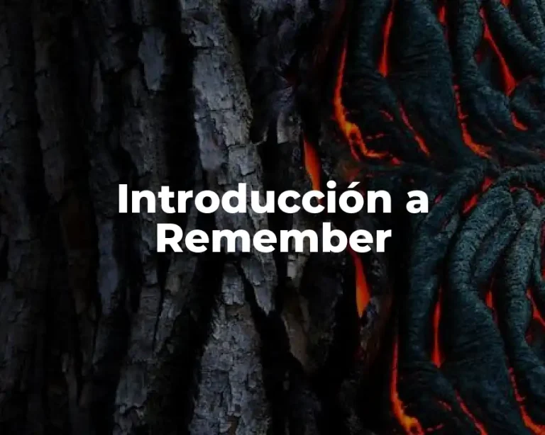 Introducción a Remember