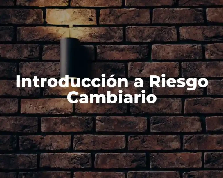Introducción a Riesgo Cambiario
