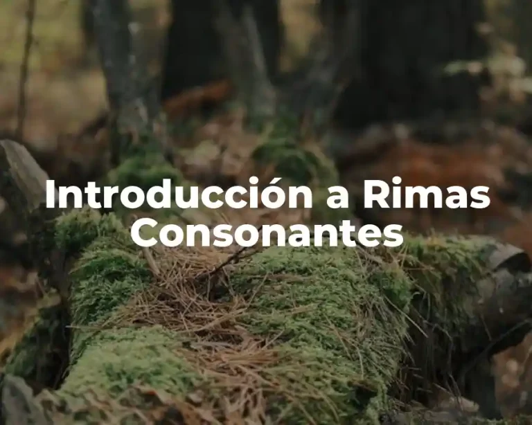 Introducción a Rimas Consonantes