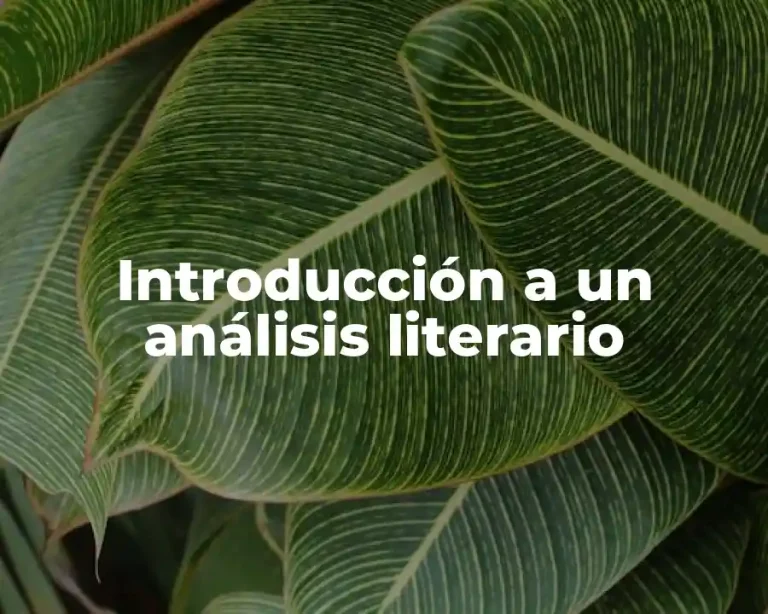 Introducción a un análisis literario