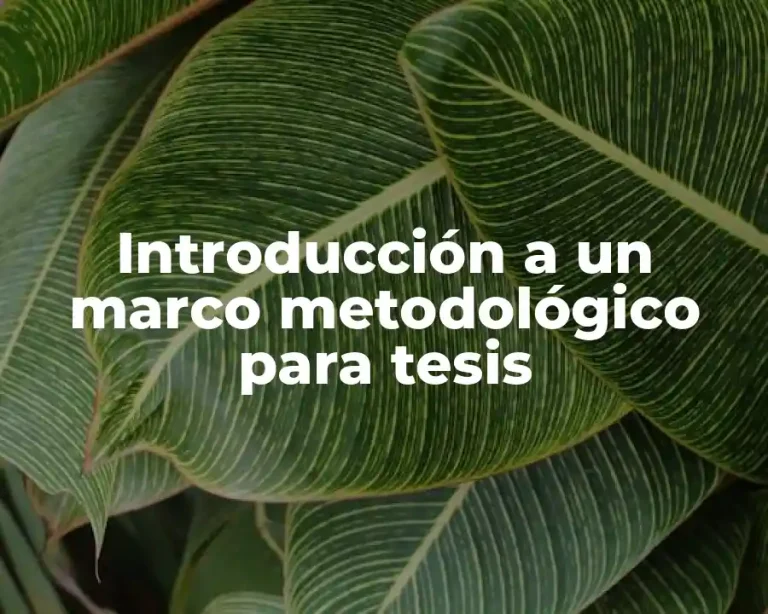 Introducción a un marco metodológico para tesis
