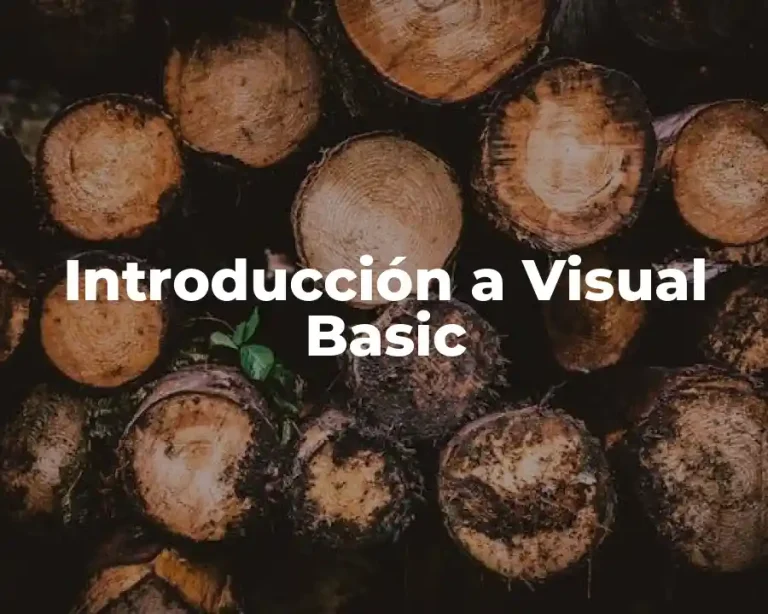 Introducción a Visual Basic