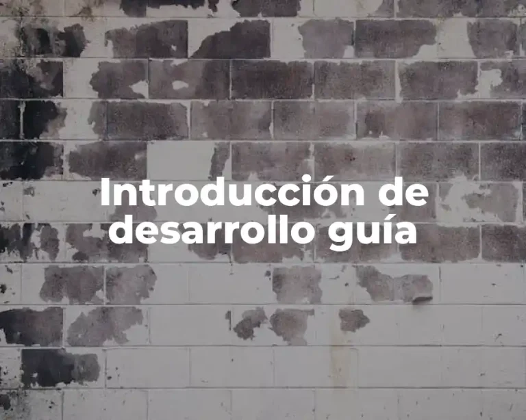 Introducción de desarrollo guía