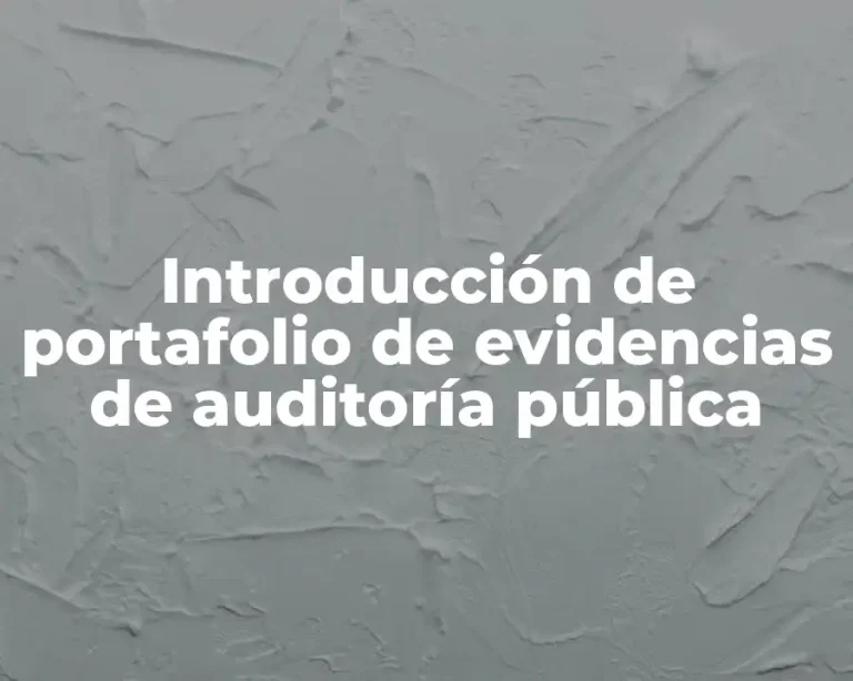 Introducción de portafolio de evidencias de auditoría pública