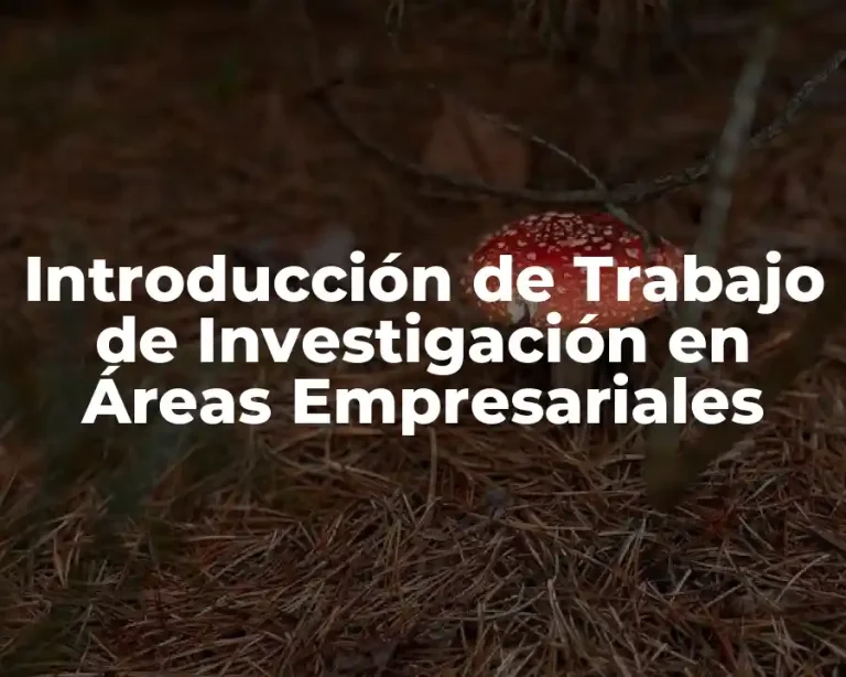 Introducción de Trabajo de Investigación en Áreas Empresariales