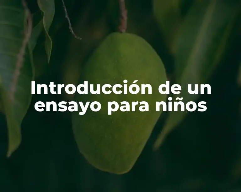 Introducción de un ensayo para niños