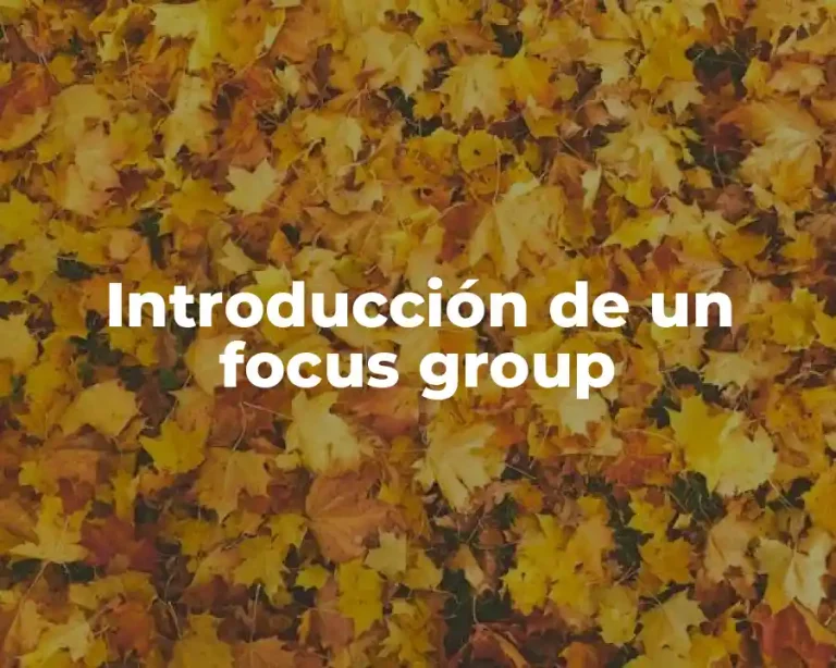 Introducción de un focus group