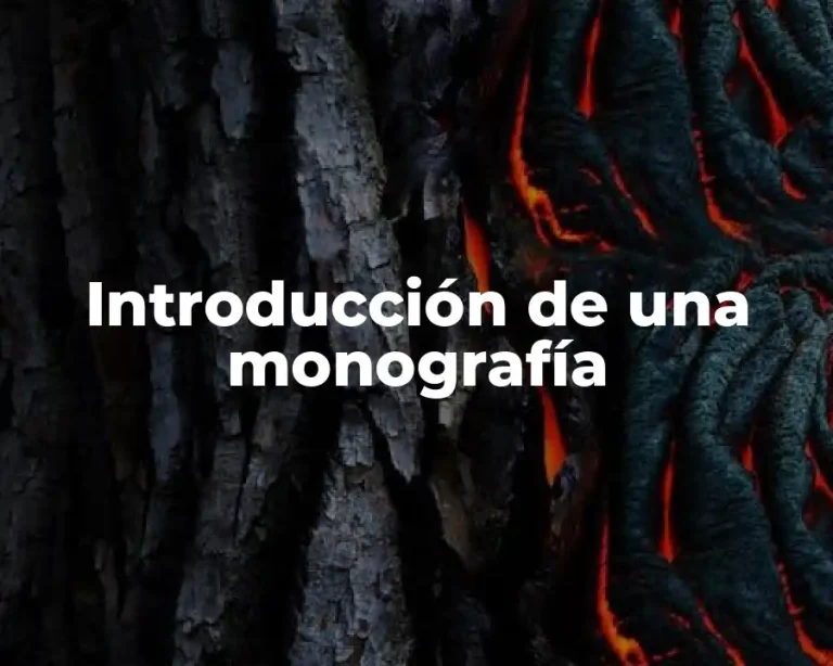 Introducción de una monografía