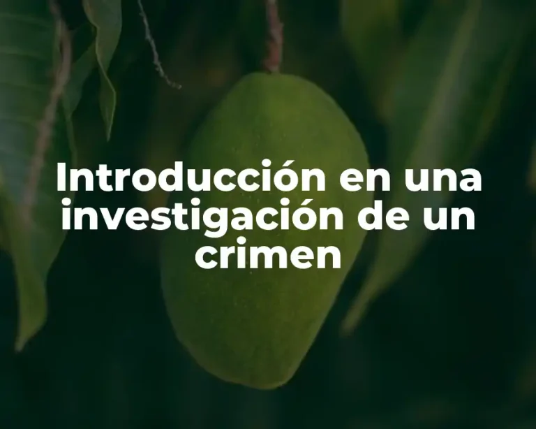 Introducción en una investigación de un crimen