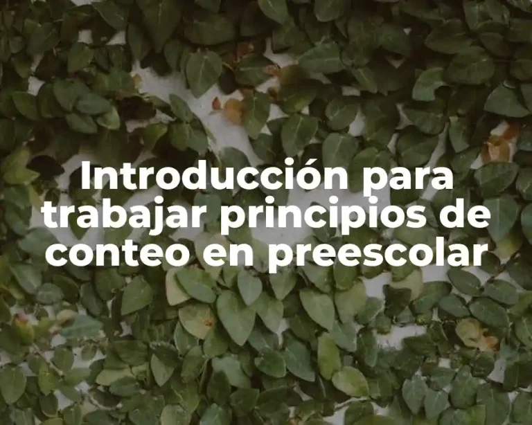 Introducción para trabajar principios de conteo en preescolar