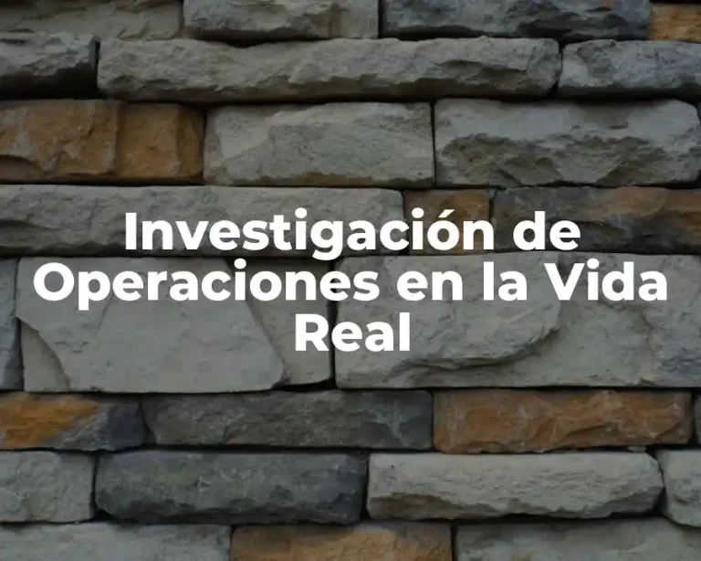 Investigación de Operaciones en la Vida Real