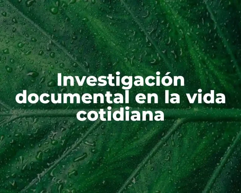 Investigación documental en la vida cotidiana