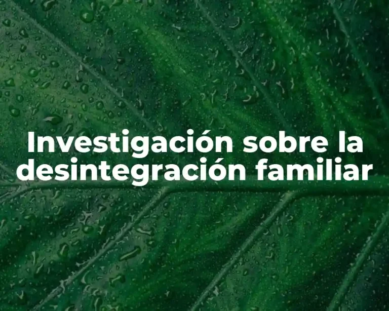 Investigación sobre la desintegración familiar
