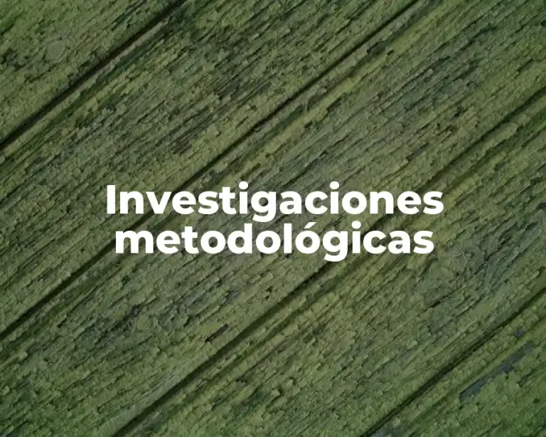 Investigaciones metodológicas