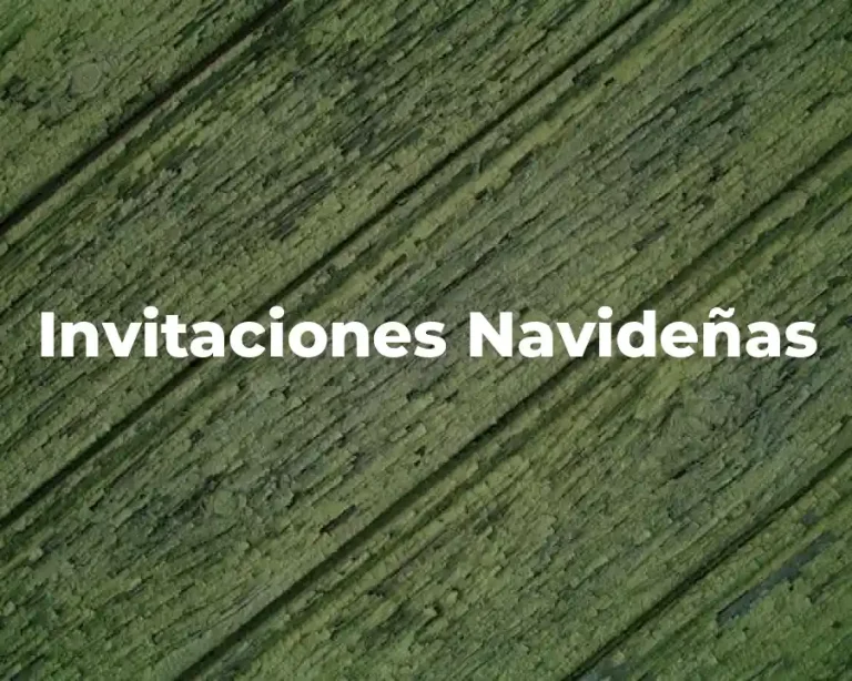 Invitaciones Navideñas