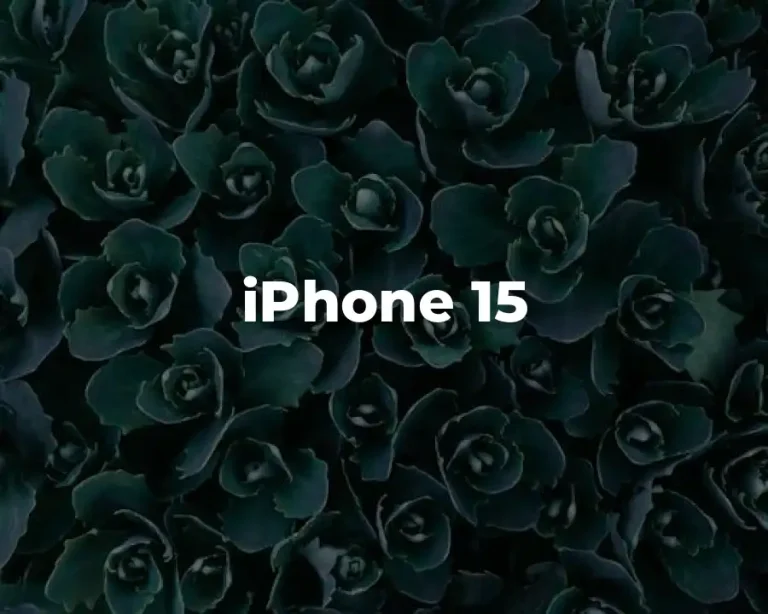 iPhone 15