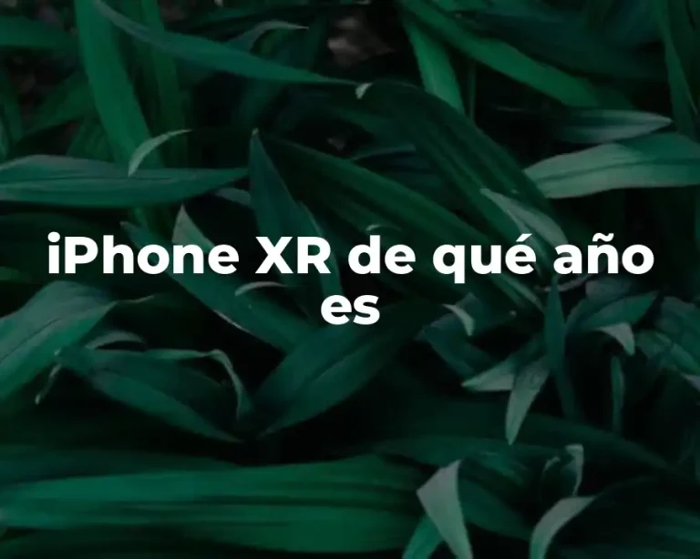 iPhone XR de qué año es