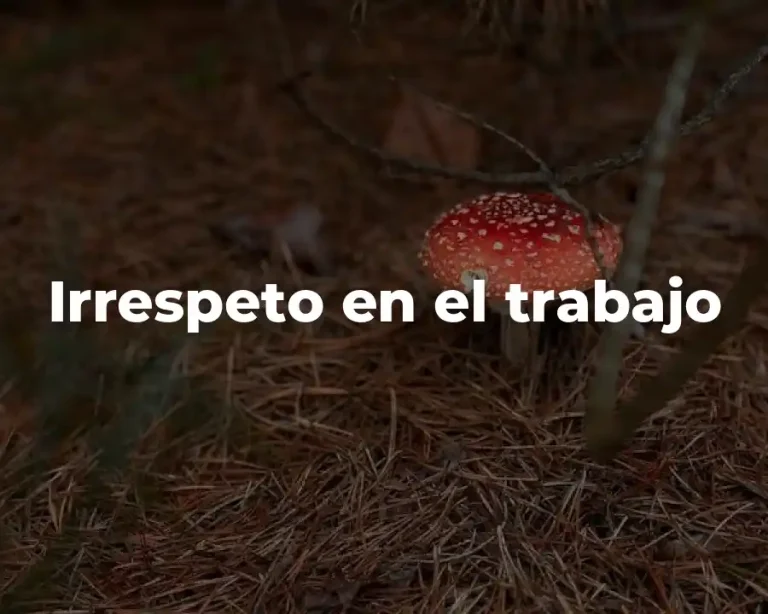 Irrespeto en el trabajo